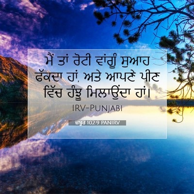 Picture 07 - ਜ਼ਬੂਰ 102:9 PANIRV - ਮੈਂ ਤਾਂ ਰੋਟੀ - Bible Verse Picture