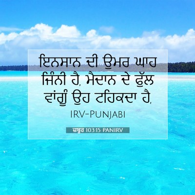 Picture 07 - ਜ਼ਬੂਰ 103:15 PANIRV - ਇਨਸਾਨ ਦੀ ਉਮਰ ਘਾਹ - Bible Verse Picture