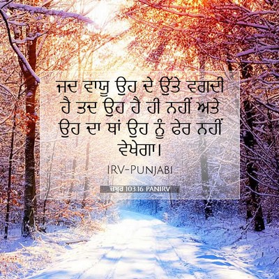 Picture 07 - ਜ਼ਬੂਰ 103:16 PANIRV - ਜਦ ਵਾਯੂ ਉਹ ਦੇ ਉੱਤੇ - Bible Verse Picture