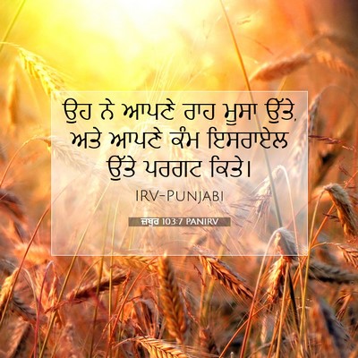 Picture 07 - ਜ਼ਬੂਰ 103:7 PANIRV - ਉਹ ਨੇ ਆਪਣੇ ਰਾਹ ਮੂਸਾ - Bible Verse Picture