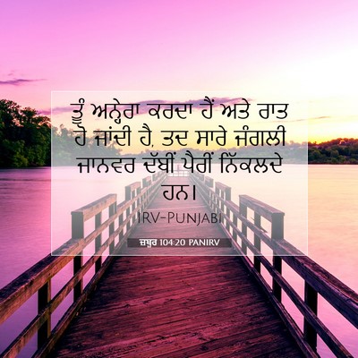 Picture 07 - ਜ਼ਬੂਰ 104:20 PANIRV - ਤੂੰ ਅਨ੍ਹੇਰਾ ਕਰਦਾ - Bible Verse Picture
