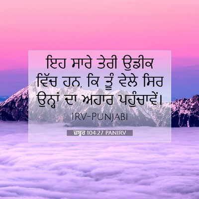 Picture 07 - ਜ਼ਬੂਰ 104:27 PANIRV - ਇਹ ਸਾਰੇ ਤੇਰੀ ਉਡੀਕ - Bible Verse Picture