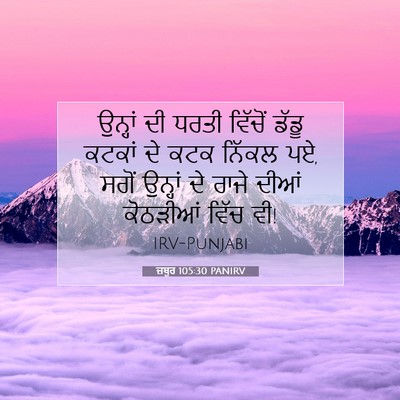 Picture 07 - ਜ਼ਬੂਰ 105:30 PANIRV - ਉਨ੍ਹਾਂ ਦੀ ਧਰਤੀ - Bible Verse Picture