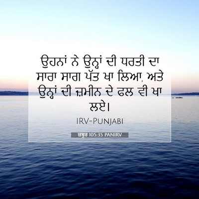 Picture 07 - ਜ਼ਬੂਰ 105:35 PANIRV - ਉਹਨਾਂ ਨੇ ਉਨ੍ਹਾਂ ਦੀ - Bible Verse Picture