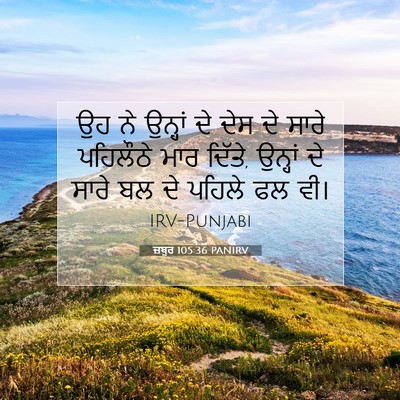 Picture 07 - ਜ਼ਬੂਰ 105:36 PANIRV - ਉਹ ਨੇ ਉਨ੍ਹਾਂ ਦੇ ਦੇਸ - Bible Verse Picture