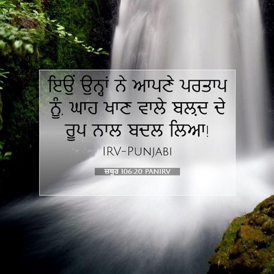 Picture 07 - ਜ਼ਬੂਰ 106:20 PANIRV - ਇਉਂ ਉਨ੍ਹਾਂ ਨੇ ਆਪਣੇ - Bible Verse Picture