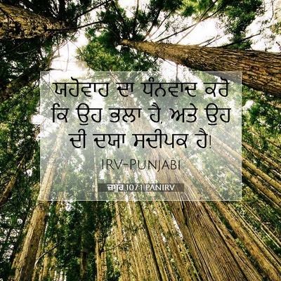 Picture 07 - ਜ਼ਬੂਰ 107:1 PANIRV - ਯਹੋਵਾਹ ਦਾ ਧੰਨਵਾਦ - Bible Verse Picture