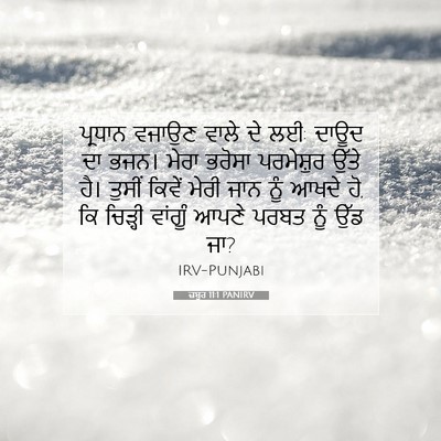 Picture 07 - ਜ਼ਬੂਰ 11:1 PANIRV - ਪ੍ਰਧਾਨ ਵਜਾਉਣ ਵਾਲੇ - Bible Verse Picture