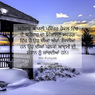 Picture 07 - ਜ਼ਬੂਰ 11:4 PANIRV - ਯਹੋਵਾਹ ਆਪਣੀ - Bible Verse Picture