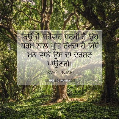 Picture 07 - ਜ਼ਬੂਰ 11:7 PANIRV - ਕਿਉਂ ਜੋ ਯਹੋਵਾਹ - Bible Verse Picture