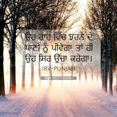 Picture 07 - ਜ਼ਬੂਰ 110:7 PANIRV - ਉਹ ਰਾਹ ਵਿੱਚ ਝਰਨੇ ਦੇ - Bible Verse Picture