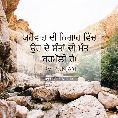 Picture 07 - ਜ਼ਬੂਰ 116:15 PANIRV - ਯਹੋਵਾਹ ਦੀ ਨਿਗਾਹ - Bible Verse Picture