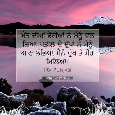 Picture 07 - ਜ਼ਬੂਰ 116:3 PANIRV - ਮੌਤ ਦੀਆਂ ਡੋਰੀਆਂ ਨੇ - Bible Verse Picture