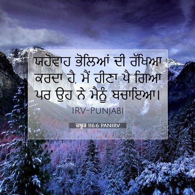 Picture 07 - ਜ਼ਬੂਰ 116:6 PANIRV - ਯਹੋਵਾਹ ਭੋਲਿਆਂ ਦੀ - Bible Verse Picture