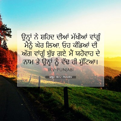 Picture 07 - ਜ਼ਬੂਰ 118:12 PANIRV - ਉਨ੍ਹਾਂ ਨੇ ਸ਼ਹਿਦ - Bible Verse Picture