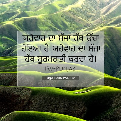 Picture 07 - ਜ਼ਬੂਰ 118:16 PANIRV - ਯਹੋਵਾਹ ਦਾ ਸੱਜਾ ਹੱਥ - Bible Verse Picture