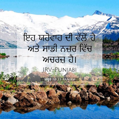 Picture 07 - ਜ਼ਬੂਰ 118:23 PANIRV - ਇਹ ਯਹੋਵਾਹ ਦੀ ਵੱਲੋਂ - Bible Verse Picture