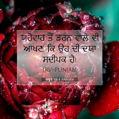 Picture 07 - ਜ਼ਬੂਰ 118:4 PANIRV - ਯਹੋਵਾਹ ਤੋਂ ਡਰਨ - Bible Verse Picture