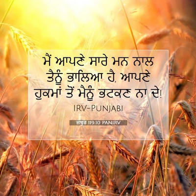 Picture 07 - ਜ਼ਬੂਰ 119:10 PANIRV - ਮੈਂ ਆਪਣੇ ਸਾਰੇ ਮਨ - Bible Verse Picture