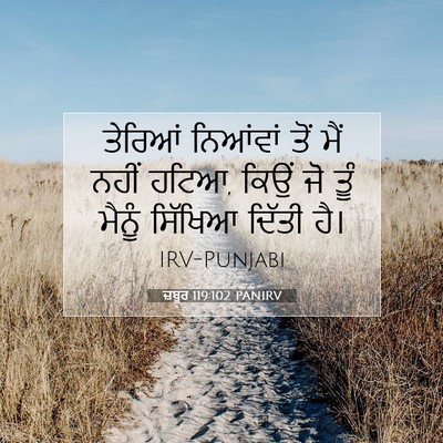 Picture 07 - ਜ਼ਬੂਰ 119:102 PANIRV - ਤੇਰਿਆਂ ਨਿਆਂਵਾਂ - Bible Verse Picture
