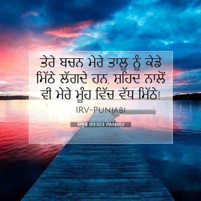 Picture 07 - ਜ਼ਬੂਰ 119:103 PANIRV - ਤੇਰੇ ਬਚਨ ਮੇਰੇ ਤਾਲੂ - Bible Verse Picture