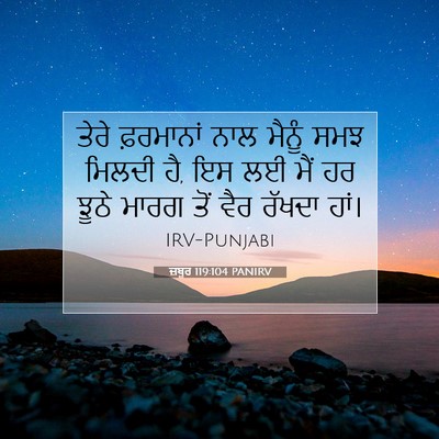 Picture 07 - ਜ਼ਬੂਰ 119:104 PANIRV - ਤੇਰੇ ਫ਼ਰਮਾਨਾਂ ਨਾਲ - Bible Verse Picture