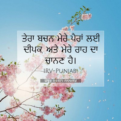 Picture 07 - ਜ਼ਬੂਰ 119:105 PANIRV - ਤੇਰਾ ਬਚਨ ਮੇਰੇ - Bible Verse Picture