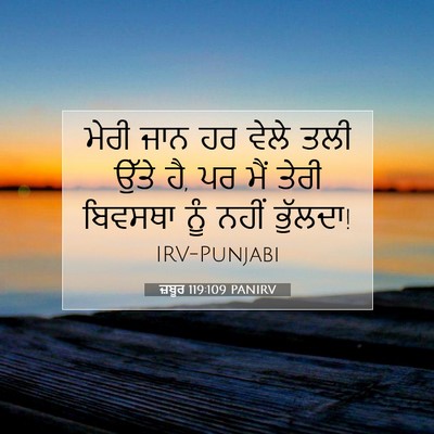 Picture 07 - ਜ਼ਬੂਰ 119:109 PANIRV - ਮੇਰੀ ਜਾਨ ਹਰ ਵੇਲੇ - Bible Verse Picture