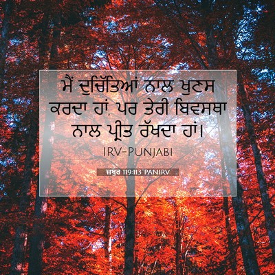 Picture 07 - ਜ਼ਬੂਰ 119:113 PANIRV - ਮੈਂ ਦੁਚਿੱਤਿਆਂ ਨਾਲ - Bible Verse Picture