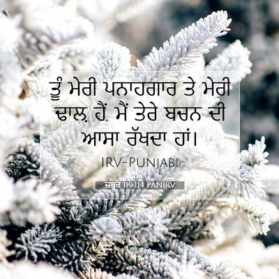 Picture 07 - ਜ਼ਬੂਰ 119:114 PANIRV - ਤੂੰ ਮੇਰੀ ਪਨਾਹਗਾਰ - Bible Verse Picture