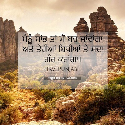Picture 07 - ਜ਼ਬੂਰ 119:117 PANIRV - ਮੈਨੂੰ ਸਾਂਭ ਤਾਂ ਮੈਂ - Bible Verse Picture