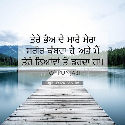 Picture 07 - ਜ਼ਬੂਰ 119:120 PANIRV - ਤੇਰੇ ਭੈਅ ਦੇ ਮਾਰੇ - Bible Verse Picture