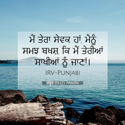 Picture 07 - ਜ਼ਬੂਰ 119:125 PANIRV - ਮੈਂ ਤੇਰਾ ਸੇਵਕ ਹਾਂ, - Bible Verse Picture