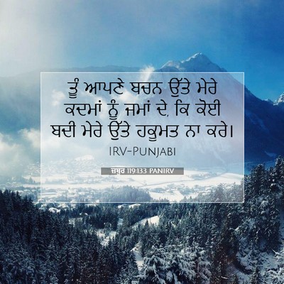 Picture 07 - ਜ਼ਬੂਰ 119:133 PANIRV - ਤੂੰ ਆਪਣੇ ਬਚਨ ਉੱਤੇ - Bible Verse Picture