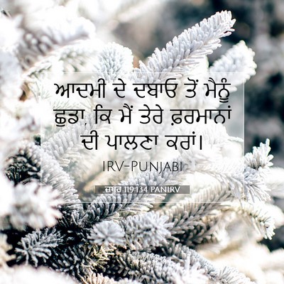 Picture 07 - ਜ਼ਬੂਰ 119:134 PANIRV - ਆਦਮੀ ਦੇ ਦਬਾਓ ਤੋਂ - Bible Verse Picture