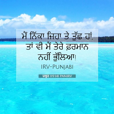 Picture 07 - ਜ਼ਬੂਰ 119:141 PANIRV - ਮੈਂ ਨਿੱਕਾ ਜਿਹਾ ਤੇ - Bible Verse Picture