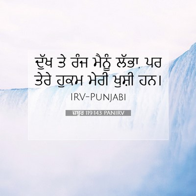 Picture 07 - ਜ਼ਬੂਰ 119:143 PANIRV - ਦੁੱਖ ਤੇ ਰੰਜ ਮੈਨੂੰ - Bible Verse Picture