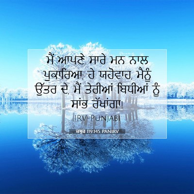 Picture 07 - ਜ਼ਬੂਰ 119:145 PANIRV - ਮੈਂ ਆਪਣੇ ਸਾਰੇ ਮਨ - Bible Verse Picture