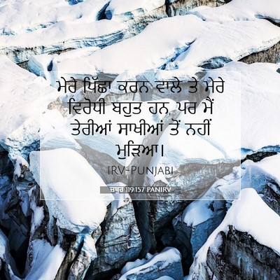 Picture 07 - ਜ਼ਬੂਰ 119:157 PANIRV - ਮੇਰੇ ਪਿੱਛਾ ਕਰਨ - Bible Verse Picture