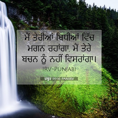 Picture 07 - ਜ਼ਬੂਰ 119:16 PANIRV - ਮੈਂ ਤੇਰੀਆਂ ਬਿਧੀਆਂ - Bible Verse Picture