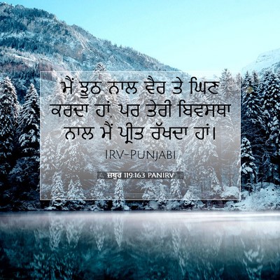 Picture 07 - ਜ਼ਬੂਰ 119:163 PANIRV - ਮੈਂ ਝੂਠ ਨਾਲ ਵੈਰ ਤੇ - Bible Verse Picture