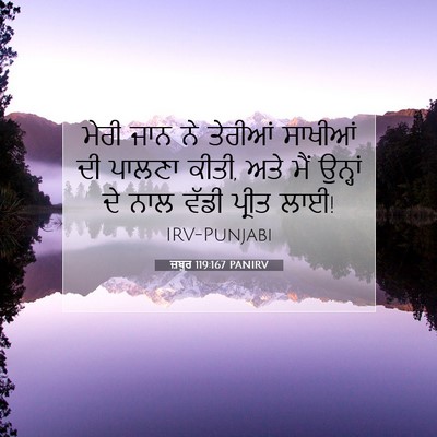 Picture 07 - ਜ਼ਬੂਰ 119:167 PANIRV - ਮੇਰੀ ਜਾਨ ਨੇ ਤੇਰੀਆਂ - Bible Verse Picture