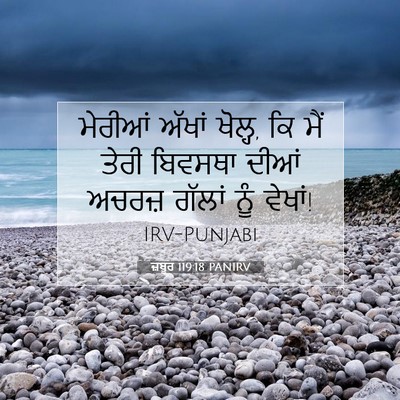 Picture 07 - ਜ਼ਬੂਰ 119:18 PANIRV - ਮੇਰੀਆਂ ਅੱਖਾਂ - Bible Verse Picture