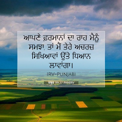 Picture 07 - ਜ਼ਬੂਰ 119:27 PANIRV - ਆਪਣੇ ਫ਼ਰਮਾਨਾਂ ਦਾ - Bible Verse Picture