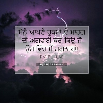 Picture 07 - ਜ਼ਬੂਰ 119:35 PANIRV - ਮੈਨੂੰ ਆਪਣੇ ਹੁਕਮਾਂ - Bible Verse Picture