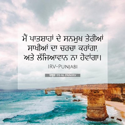 Picture 07 - ਜ਼ਬੂਰ 119:46 PANIRV - ਮੈਂ ਪਾਤਸ਼ਾਹਾਂ ਦੇ - Bible Verse Picture