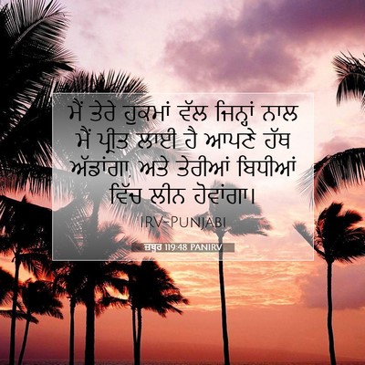 Picture 07 - ਜ਼ਬੂਰ 119:48 PANIRV - ਮੈਂ ਤੇਰੇ ਹੁਕਮਾਂ - Bible Verse Picture