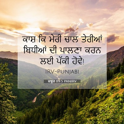 Picture 07 - ਜ਼ਬੂਰ 119:5 PANIRV - ਕਾਸ਼ ਕਿ ਮੇਰੀ ਚਾਲ - Bible Verse Picture