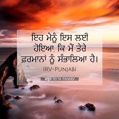 Picture 07 - ਜ਼ਬੂਰ 119:56 PANIRV - ਇਹ ਮੈਨੂੰ ਇਸ ਲਈ - Bible Verse Picture