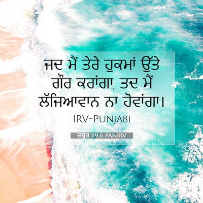 Picture 07 - ਜ਼ਬੂਰ 119:6 PANIRV - ਜਦ ਮੈਂ ਤੇਰੇ ਹੁਕਮਾਂ - Bible Verse Picture
